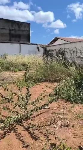 Lote Vila Isaura 371,04m²