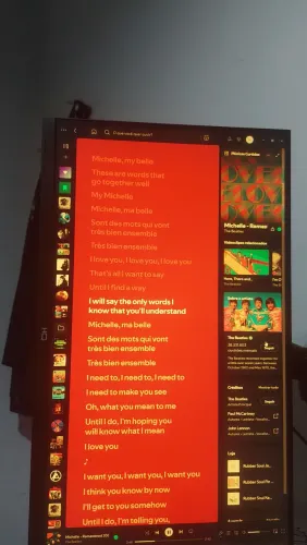 Monitor HQ 24" 180HZ