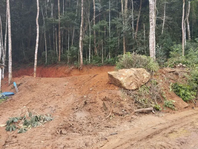 Terreno vargem alta