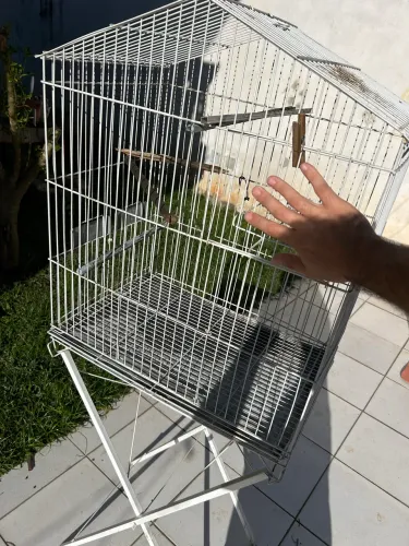 Gaiola de calopsita 