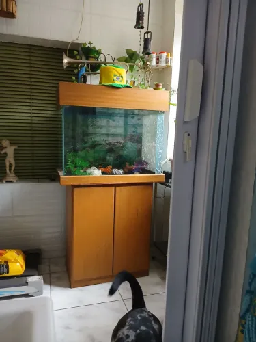 Vendo aquário de 100 litros completo com filtro, bomba d'água, pedras e plantas artificiai