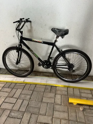 Bicicleta adulto, revisada