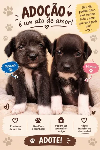 Lindos cachorrinhos para adoção.