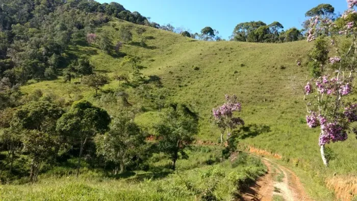 VENDO TROCO SITIO DE 15 ALQUEIRES EM NATIVIDADE DA SERRA (4147 )
