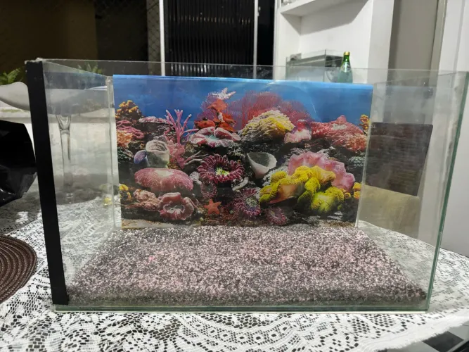Aquário Peixes PET