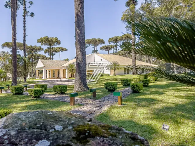 Casa em Condomínio à venda 1300 m - 4 quartos - Jardim Veneza - Piraquara - PR
