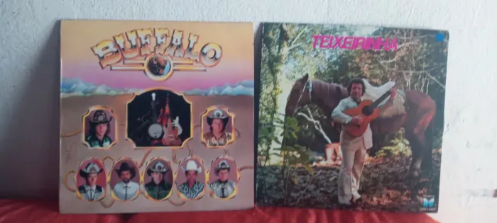 lote de disco de vinil sertanejo