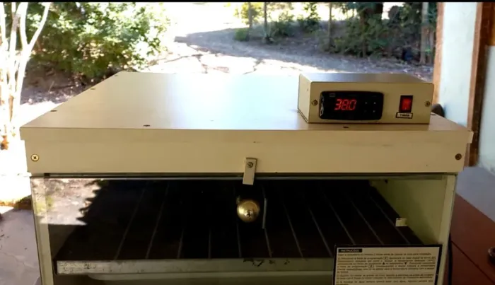 Chocadeira automática golden 