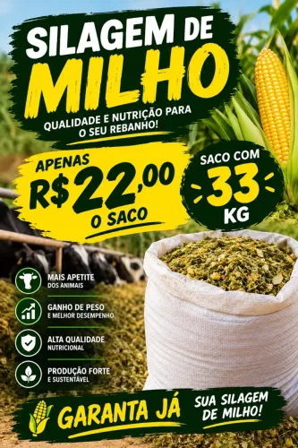 Silagem de milho em Lagarto Se