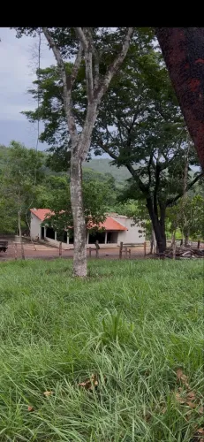 Fazenda próximo a Aparecida rio negro