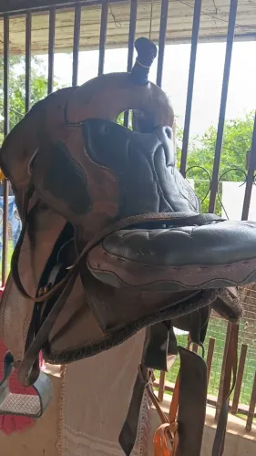 Vendo cavalo marchador....chama q da brik