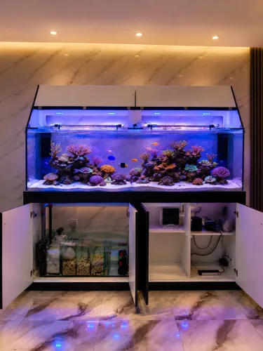 Aquário 220x60x60 em vidro 12mm - 792 Litros