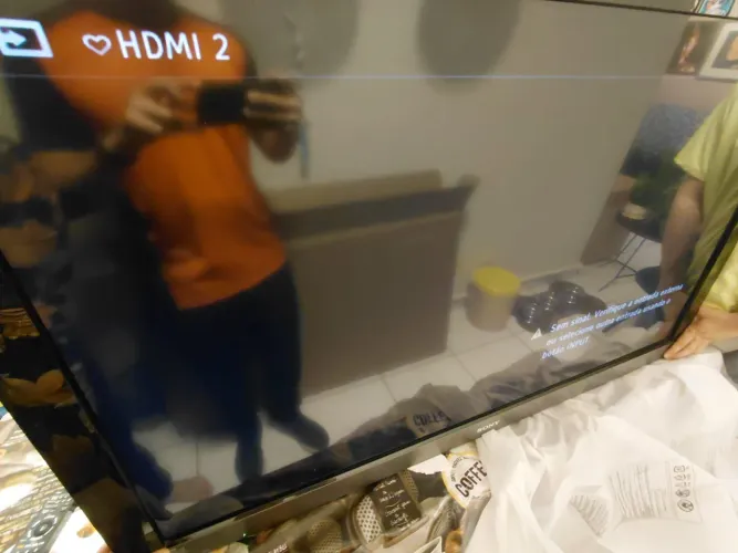 Sony Bravia KDL-55EX505 (55 polegadas - modelo de 2010)