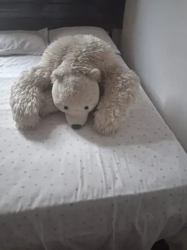 Urso pelúcia