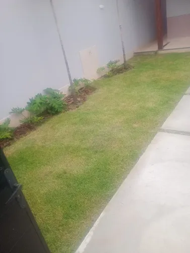 Corte de grama e jardinagen