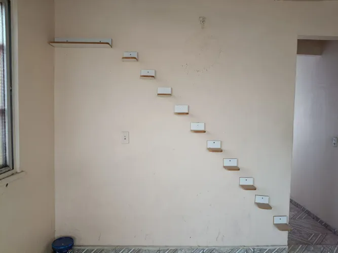 Subida para gatos