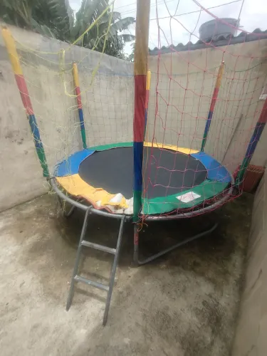 Pula pula