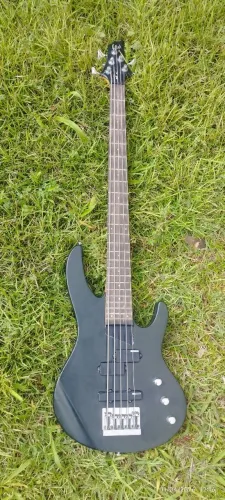 Baixo ESP Ltd series B-15