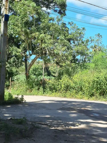 Lote 10 x 20 no alto do quilombo em Santa luzia do Norte.