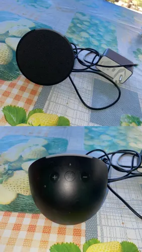 Alexa Echo Pop