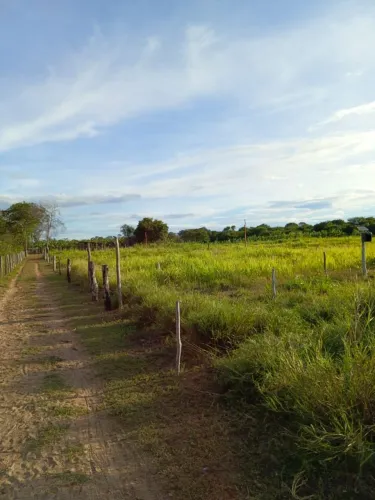 Tudo legalizado com reserva incluso