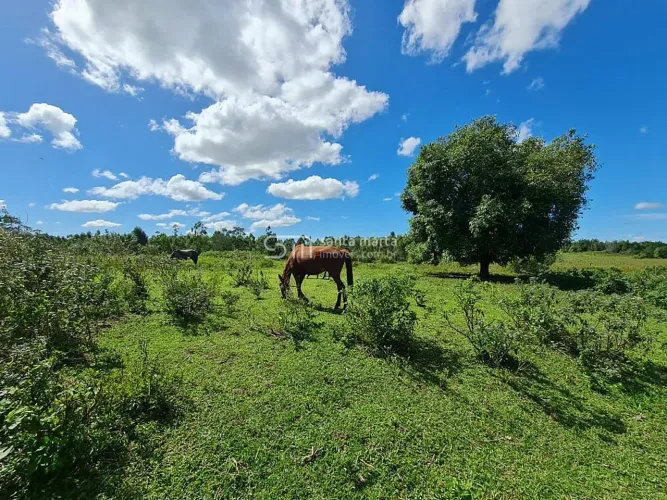 FAZENDA CORTE 400 CABEÇAS, PORTEIRA FECHADA  ARARUAMA  RJ