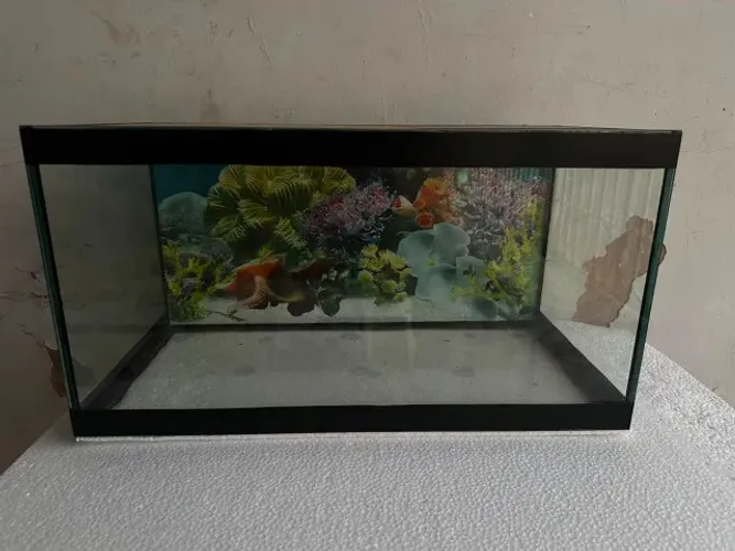Aquário 30x60x25