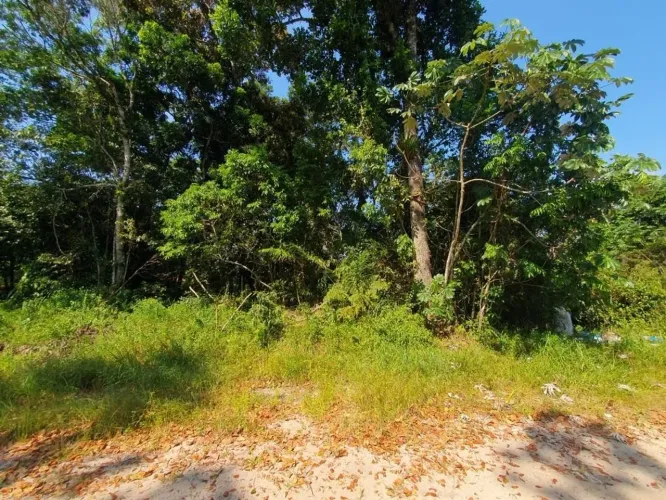 Lote / Terreno em Itapoá/SC no Brandalize