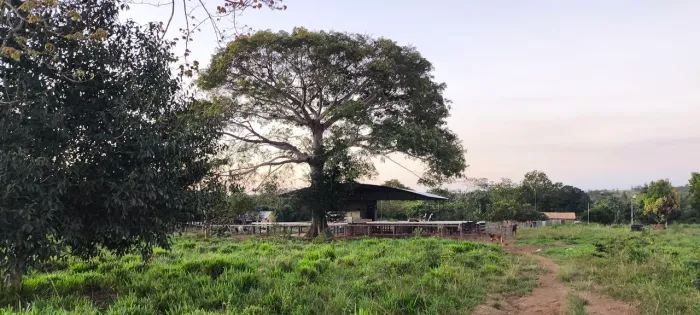 Fazenda a venda 