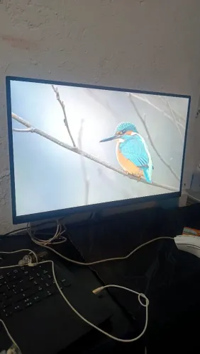 Monitor 100HZ