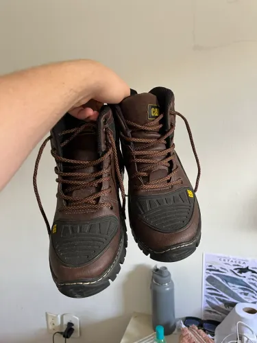 Bota