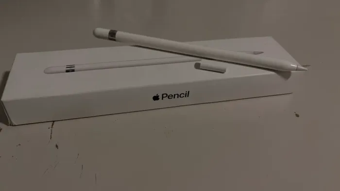Caneta Apple Pencil 1? geração 