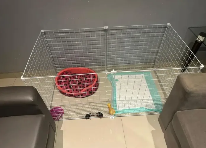 Cercado pet