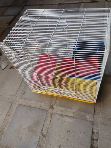 Gaiola