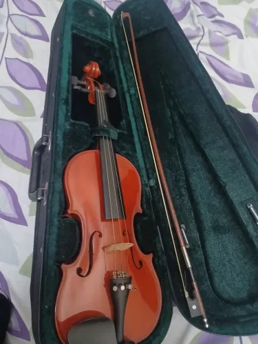 Violino