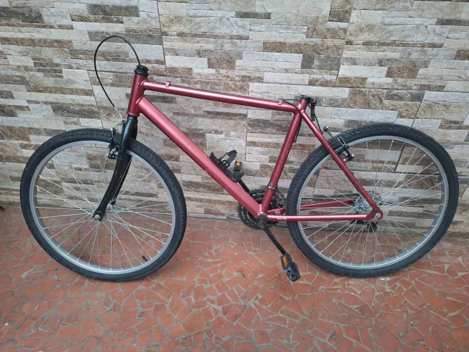 Bicicleta