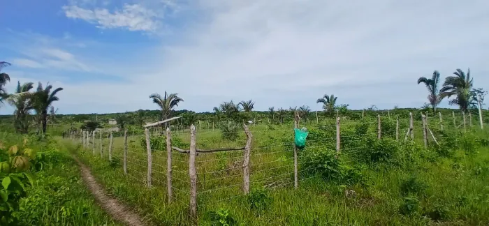 2 terrenos a venda 