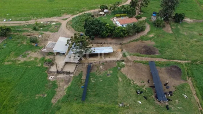 Sítio à Venda em São Carlos - Oportunidade Única no Campo!