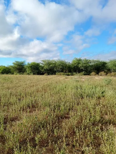Vendo lote agrovila 4, Ibimirim. Pernambuco.