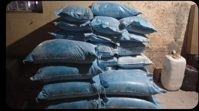 50$ só venci em novembro 