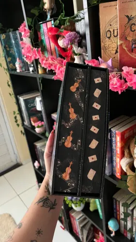 Box divinos rivais capa dura