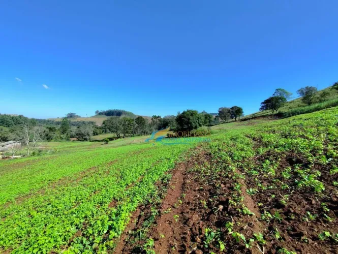 Sítio à venda, 140360 m² por R$ 1.000.000,00 - Centro - Guaraniaçu/PR