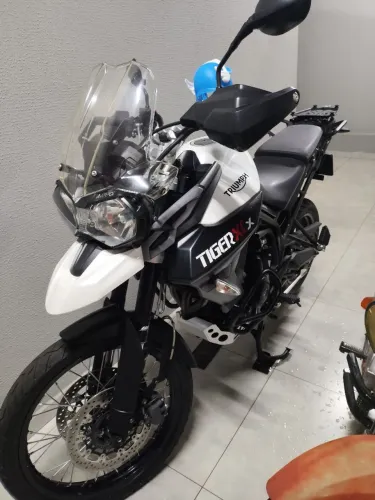 Tiger 800 xcx