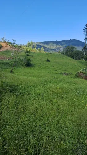 Terreno 2 hectares com córrego em Anitápolis-SC