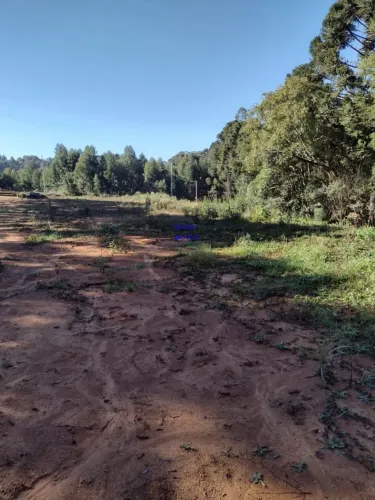 CHÁCARA 6.711M² COM LUZ E ÁGUA ENCANADA, A 800MT DO ASFALTO, MANDIRITUBA, FN  OU 99904 046