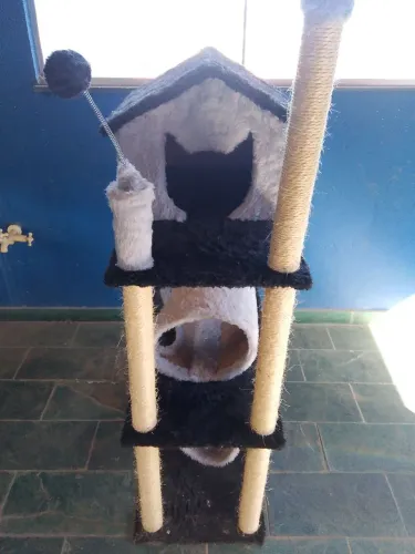 Casinha de gato