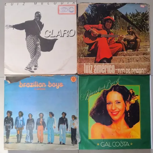 Lote 2 discos de vinil
