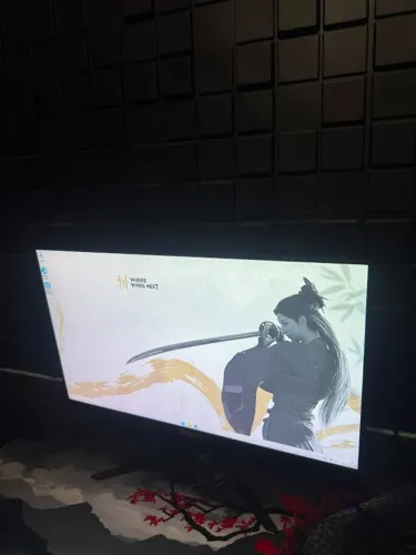 MONITOR GAMER