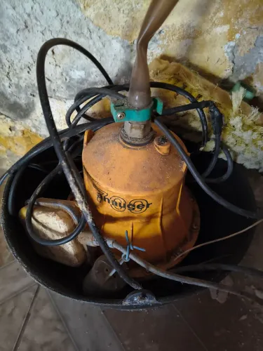 Bomba sapo