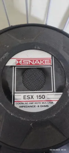 Alto-falante 15"  da marca Snake, modelo ESX 150, com impedância de 8 Ohms. 